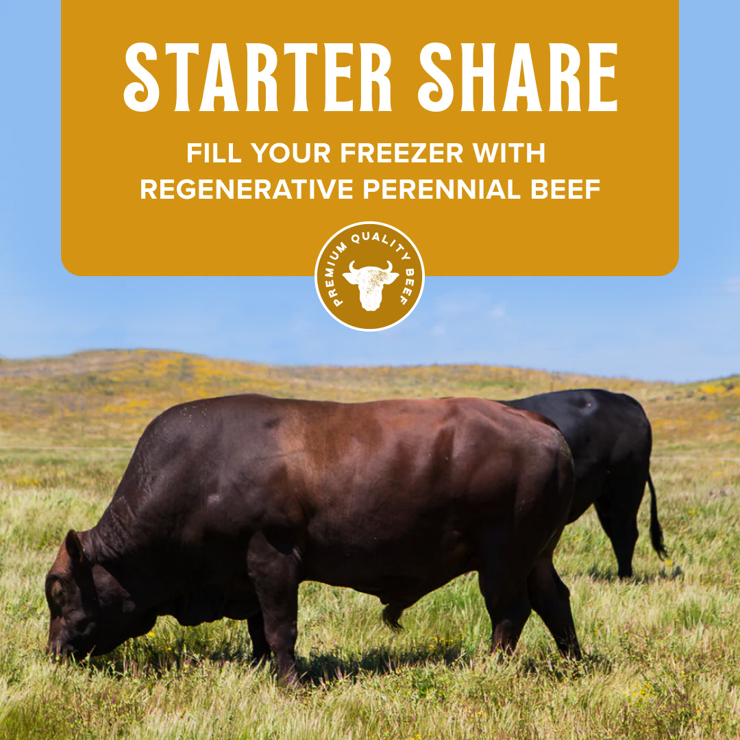 1/16 Beef - SPRING 2025