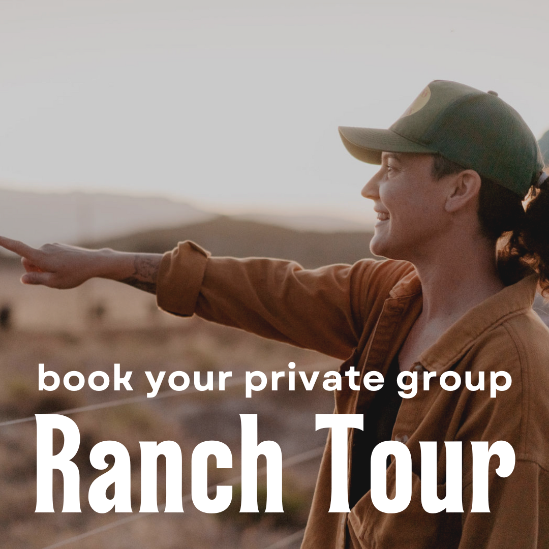 Private Group / Homeschool Ranch Tours + Regenerative Meal | email us to book