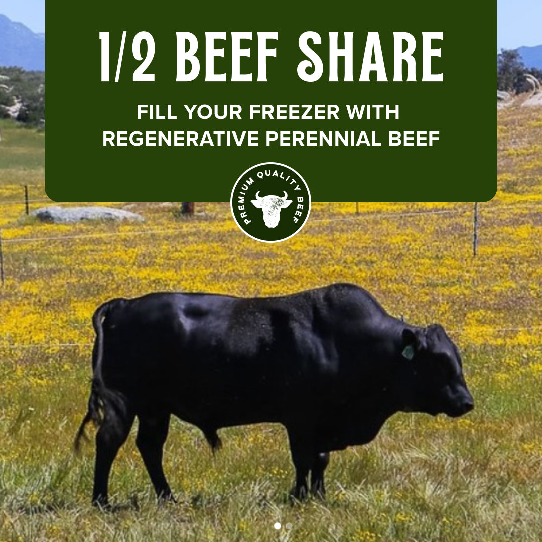 Half Beef - SPRING 2025