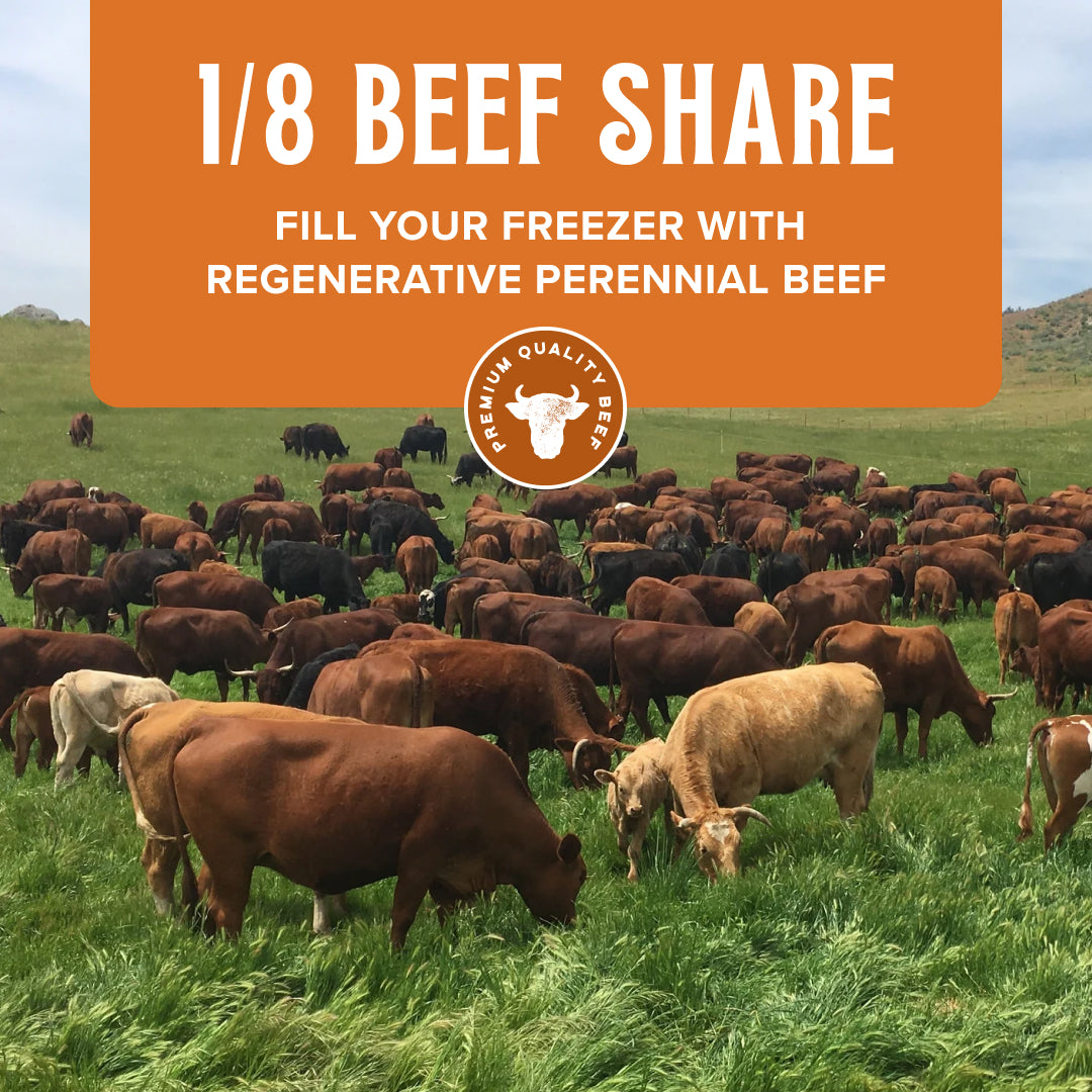 1/8 Beef - SPRING 2025