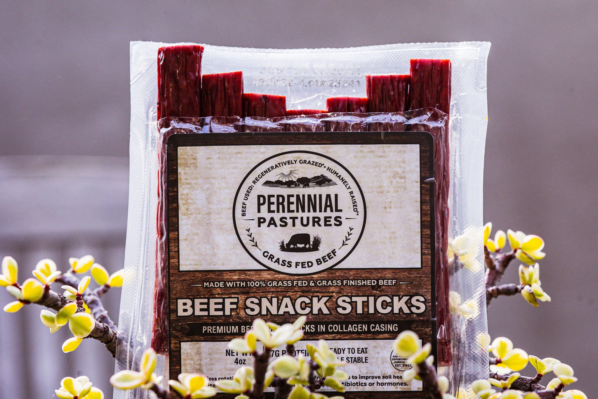 Grass Fed Beef Snack Sticks Subscription (15 packs / month)