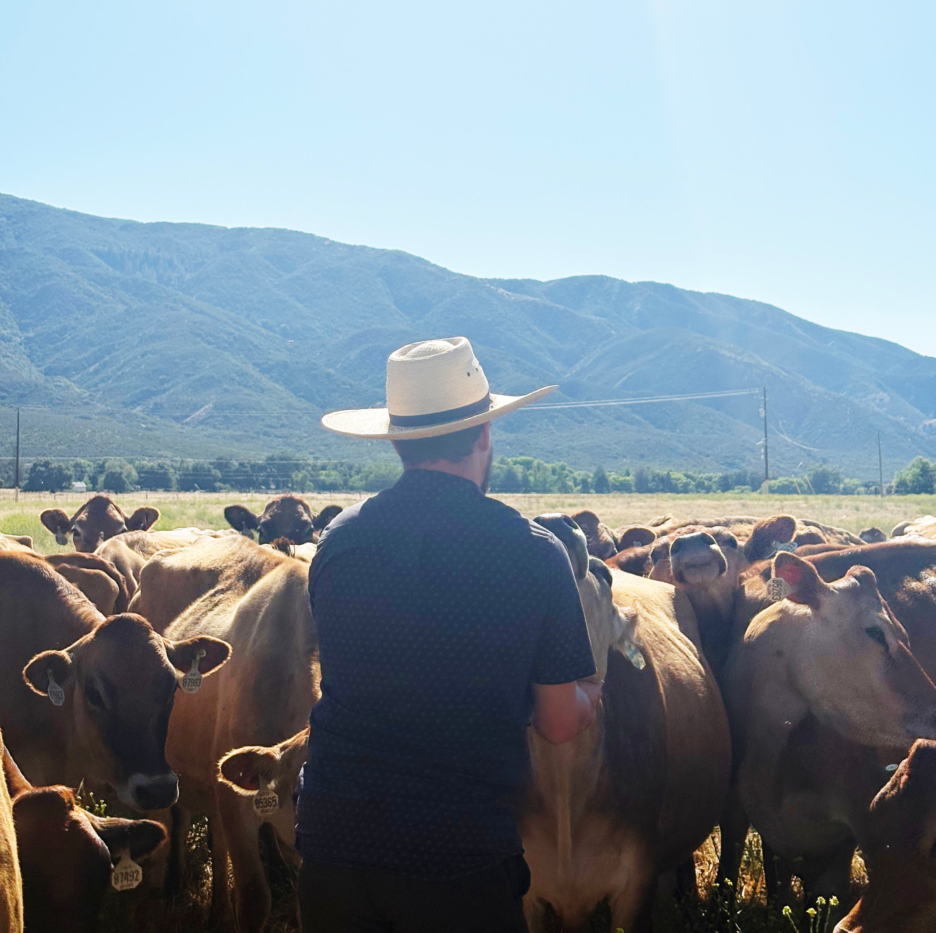 1 Gallon A2/A2 Raw Milk for weekly SoCal delivery