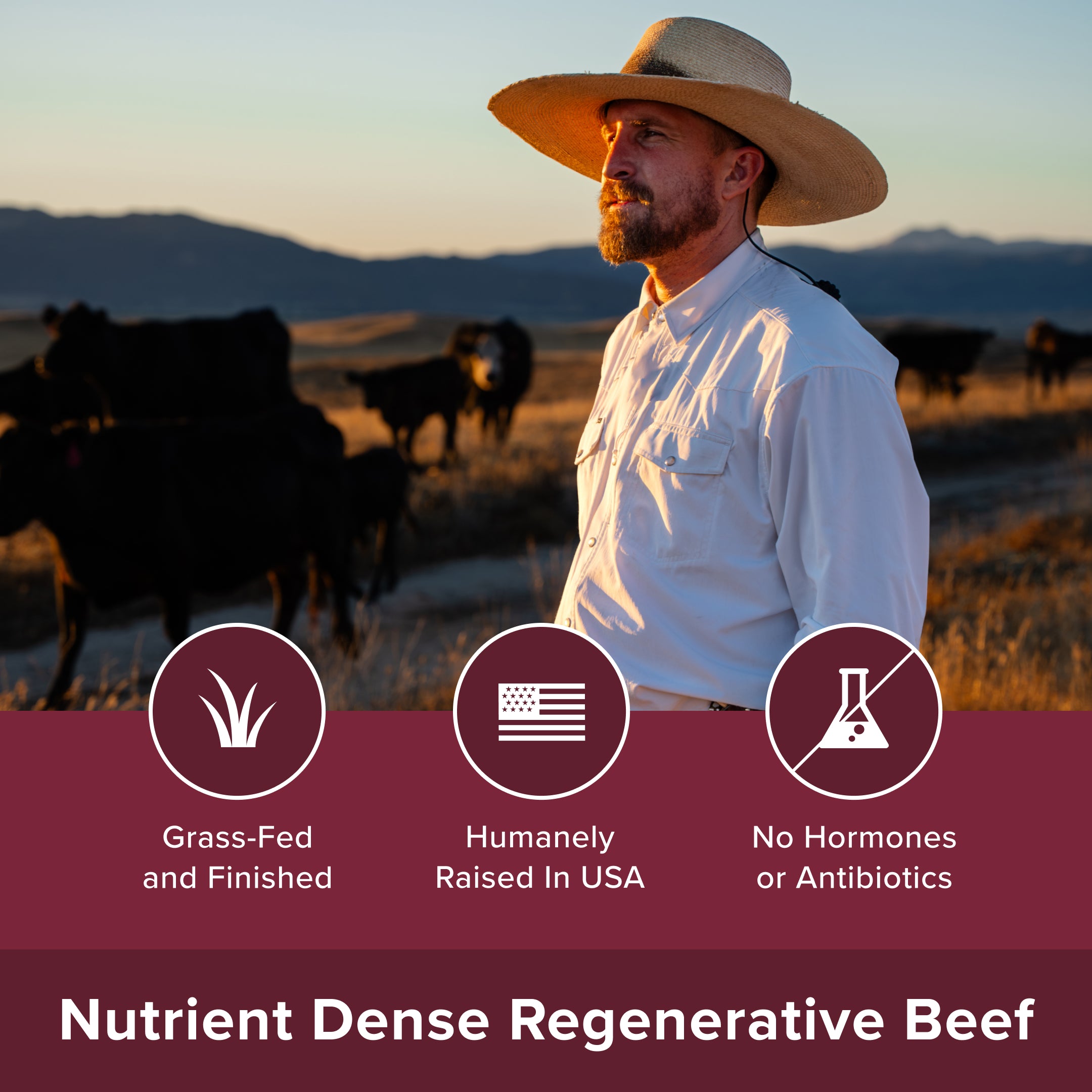 Regenerative Beef Sampler Box