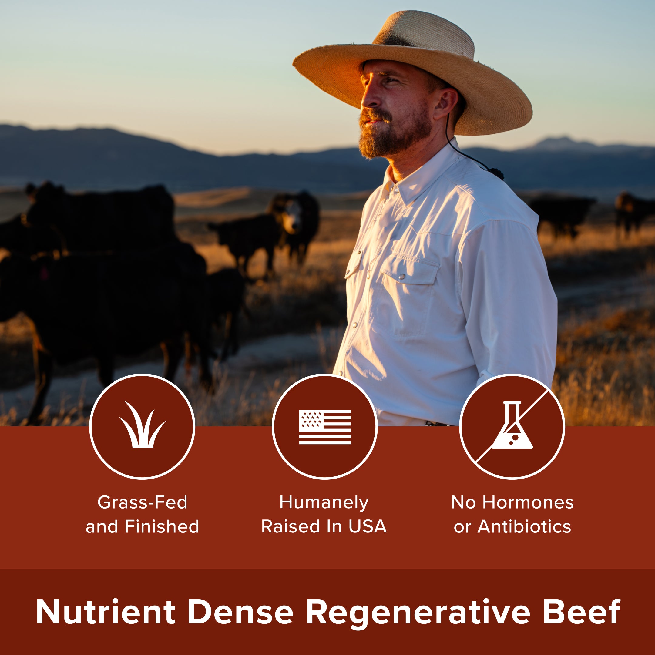 Regenerative Steaks Box