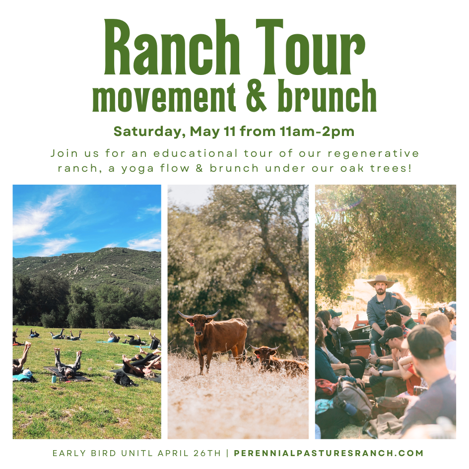 Ranch Tour, Movement & Brunch | Saturday, May 11th | 11am-1pm