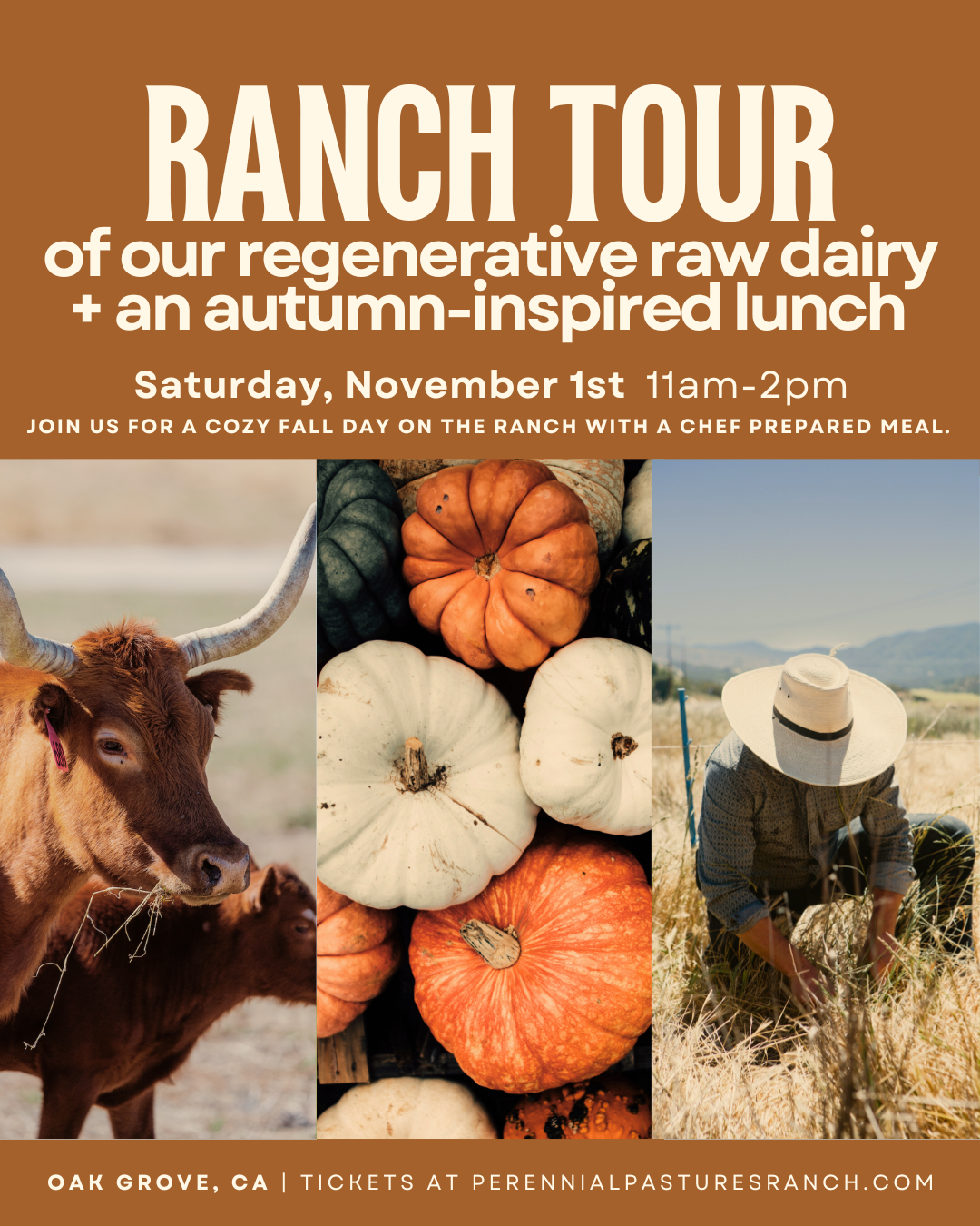 Autumn Ranch Tour + Seasonal Lunch | Saturday, Nov 1st | 11am-2pm