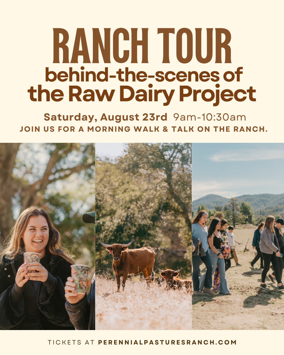 Ranch Tour | Behind-the-Scenes of our Raw Dairy project