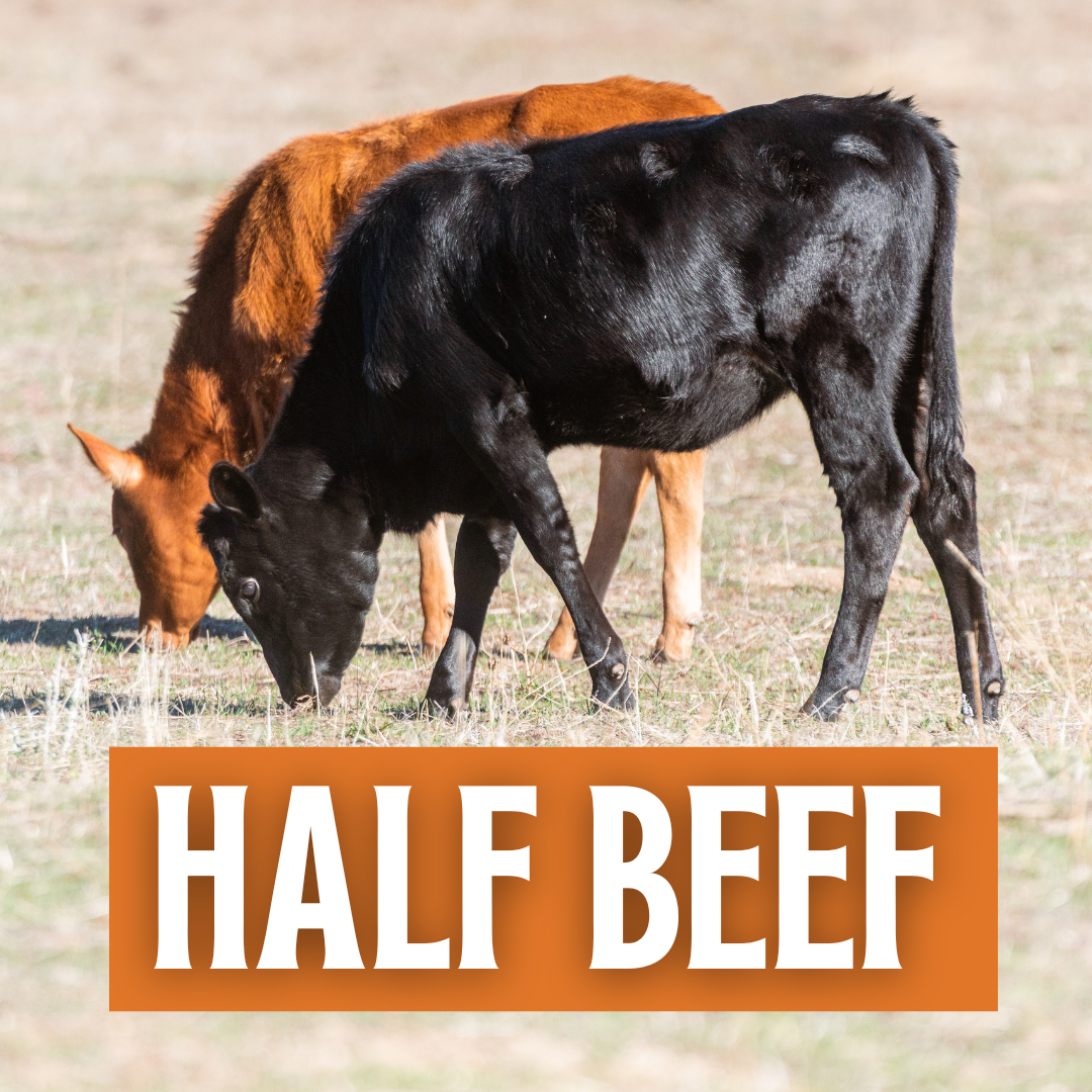 Half Beef Deposit + FREE Freezer | $1625