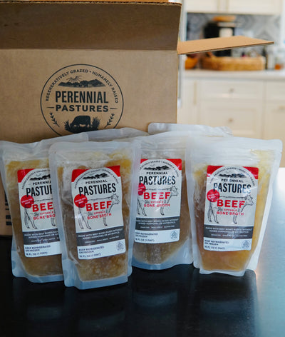 Beef Bone Broth Subscription (10 packs / month)