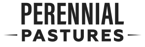 Perennialpasturesranch