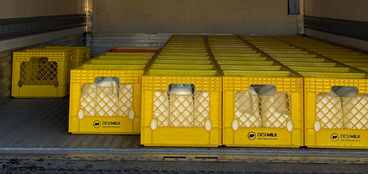 Weekly SoCal Raw Milk Delivery | Grass-finished Ground Beef | Eggs