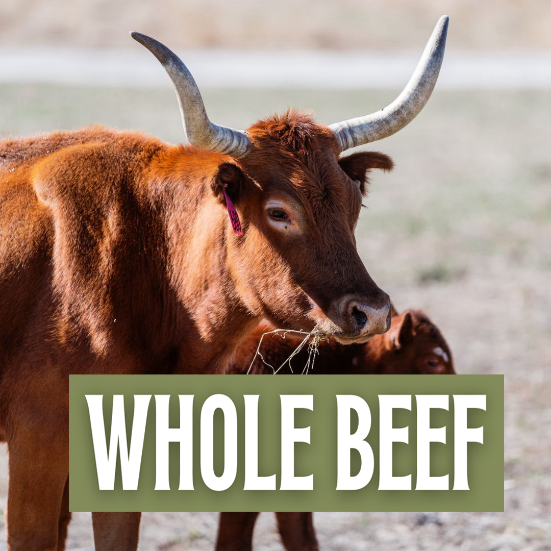 Whole Beef Deposit + FREE Freezer | $3000