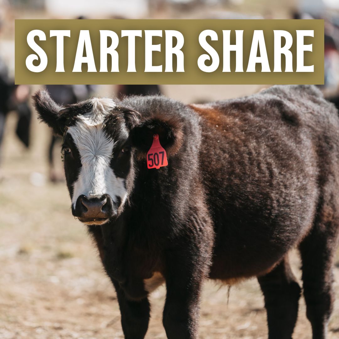 Starter Share Beef Deposit | $250
